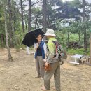 (대구)연호 두리마루숲, 오솔숲길-방무산-너울숲길-배내마을숲길 트레킹과 숲속의 작은 콘서트(26.9.5.토.보생33차) 이미지