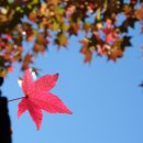 삼천포중앙시장 이미지