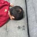 사랑이머무는카페