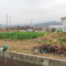 대운산리 이미지