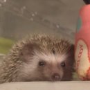 로던트클럽 강서마곡점 이미지