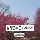 남평문씨본리세거지 주차장 안 네이버블로그