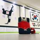 국가대표 명학태권도 이미지