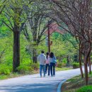 장충단공원 이미지