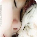 꿈나라 이미지