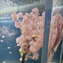 선류산장 이미지