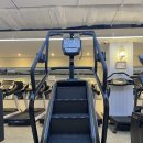 더 바디 피트니스 이미지