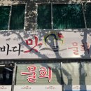바다맛 물회 | 여수 물회 맛집 바다맛물회, 푸짐한 모둠물회 솔직 후기