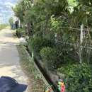 강인목장 이미지