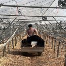 해찬농장 이미지