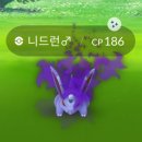 우아애 이미지