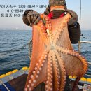 피싱1번지 이미지