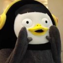 머뭄 애견유치원 이미지