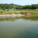 용인대 경일태권도 이미지