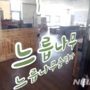 회계법인나무 국민일보