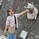 마을식당 - 제천시 | 일본 나고야 소도시 도코나메 여행 고양이 도자기 마을 식당, 짐 보관 후기