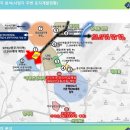 대림벌목