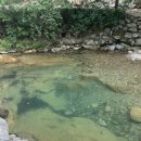 제일산장 | 동상계곡 어디가 좋을까? 직접 다녀온 3곳 비교 후기 (알프스산장·검태오남매·제일산장)