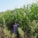 한울타리농장 이미지