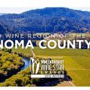 위너메드 이미지