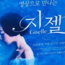 SAC on Screen 영상으로 만나는 지젤 이미지