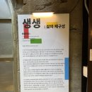 마파람사진관;마파람상점