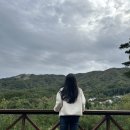 평창 하늘 펜션 2 | 산을 품은 평창 숙소, 하늘닿은펜션 숙박 후기