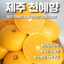 탐라미트