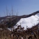 군자 사슴농원 이미지