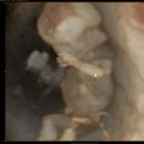 우리두리소아과 이미지