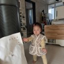 와작와작 | 심콩이 407일] 오늘은 문센데이 다람쥐가 되었어요 - 신촌현백문화센터 오터치 오감발달 / 김부각 와작와작