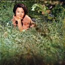 장미리 노래모음 [당신이 좋아서] (1973) 이미지