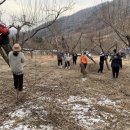 청초농장 네이버블로그