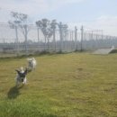 부안동물병원 이미지