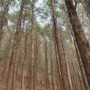 중앙늘샘쉼터 이미지