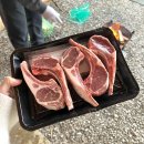 봉화로 | 파인벨리 럭셔리 글램핑 2호점 | 쾌적하게 바베큐 불멍 하다 온 후기 | 서울 근교 글램핑 추천 | 내돈내산
