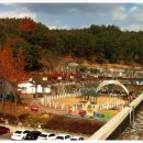 양평미리내캠프 이미지