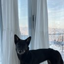 달멍스테이 이미지