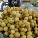 봉봉(bon bon) 이미지