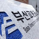 658 이미지