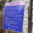 샘모루초교 이미지