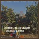 금동이네 | 30개월 아기랑 제주 감귤체험 금동이네 솔직 후기