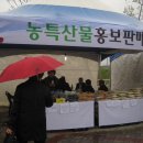 사천 한과축제에 이미지