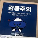 무지개렌트카 카모아 리뷰 선물 후기!
