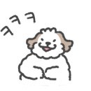 루미의 아이톡 안경원 이미지