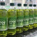 선양 말차 소주 맛 후기 예상 및 출시 정보 정리