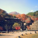 삼성궁 이미지
