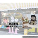 잇츠폴댕
