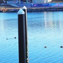 오리떼 편의점 이미지