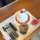 하르르커피 | 🍅진주 카페 추천 | 도서관 감성 하르르커피 진주점 후기, 토마토빙수 맛집